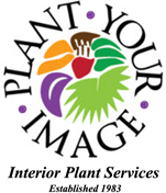 PLANT YOUR IMAGE